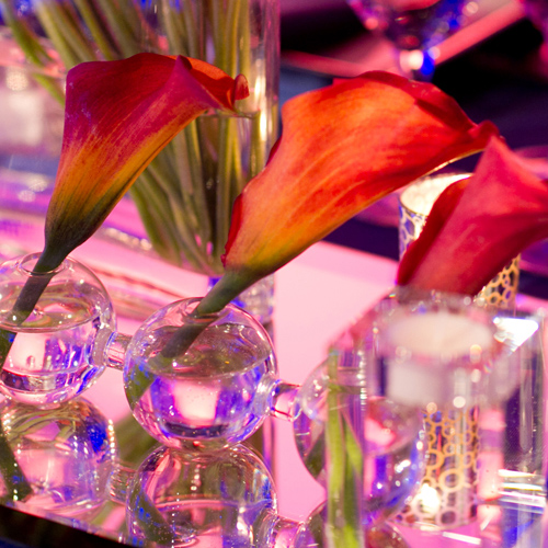 Barmitzvha Event Album